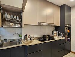 Blk 298D Compassvale Green (Sengkang), HDB 4 Rooms #496477631